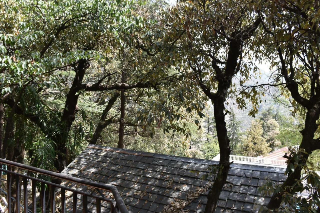 Misty Woods Hotel Dharamshala Luaran gambar