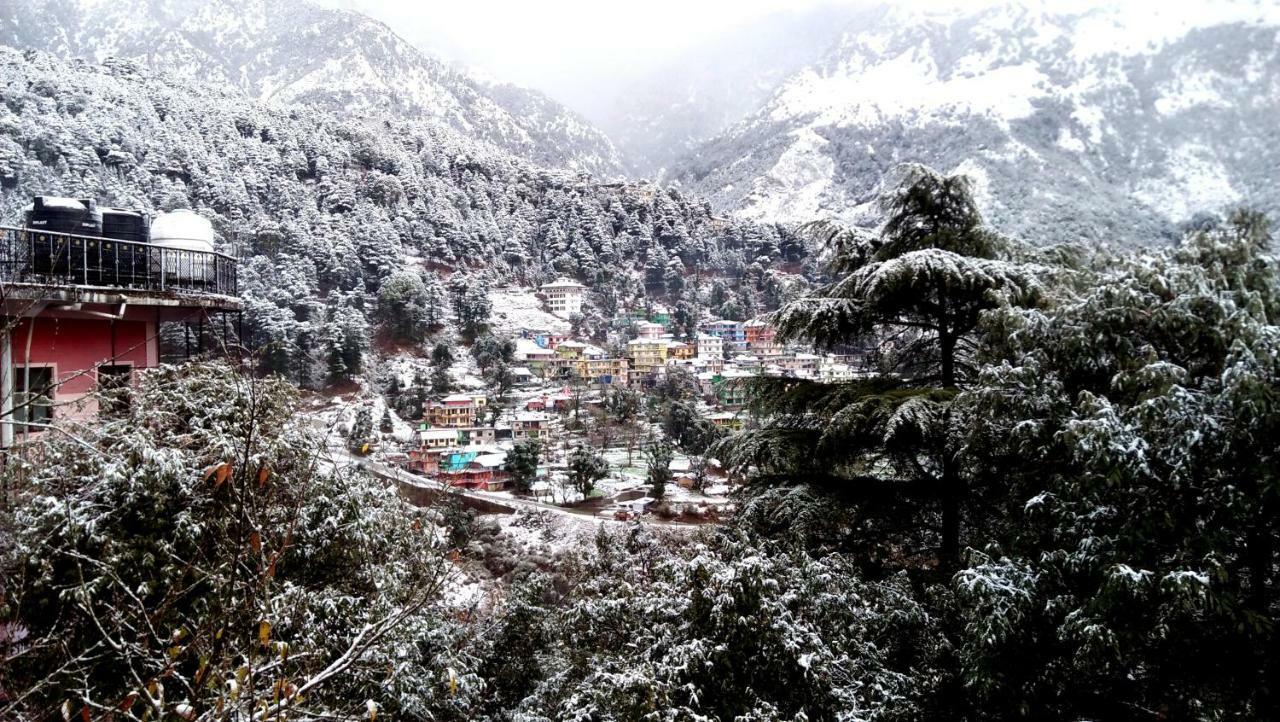 Misty Woods Hotel Dharamshala Luaran gambar