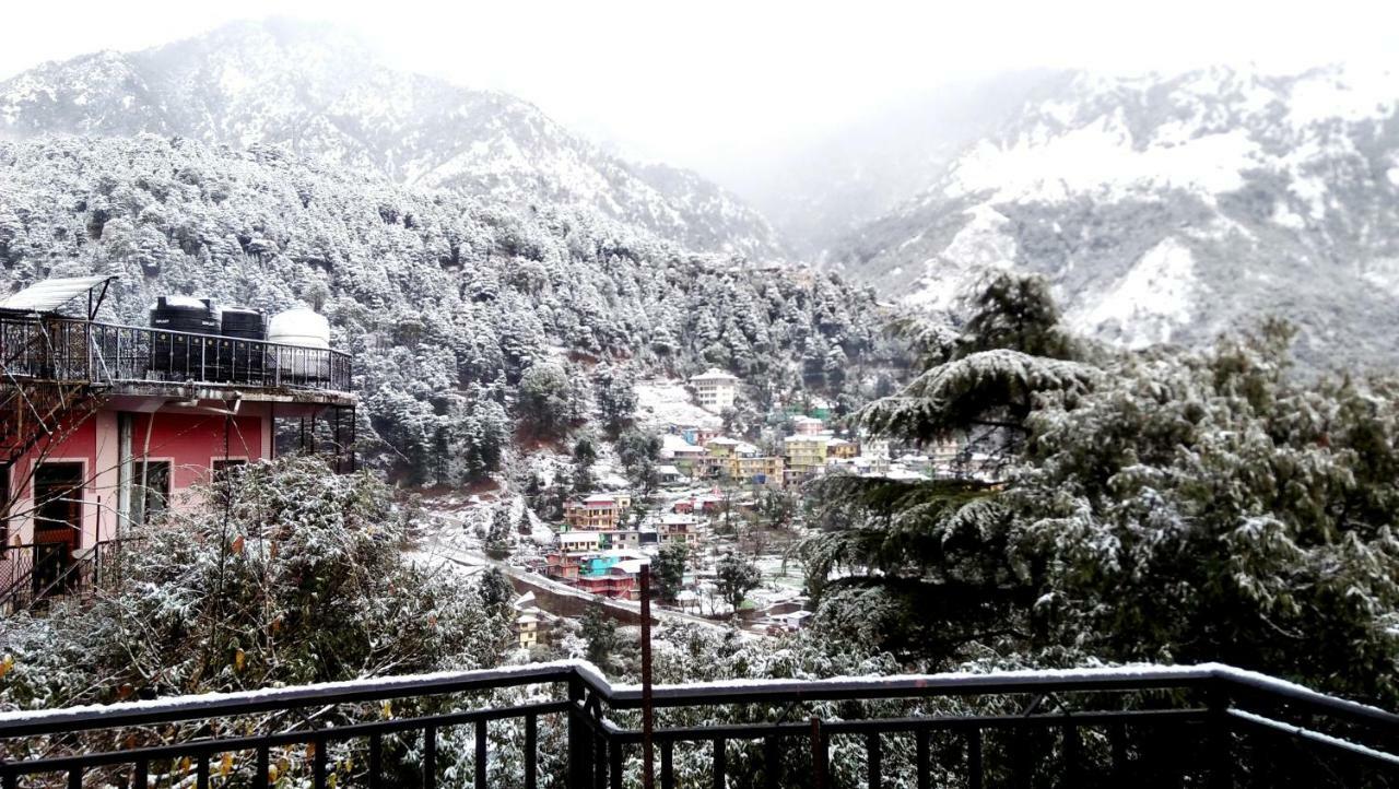 Misty Woods Hotel Dharamshala Luaran gambar